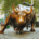 Charging Bull sculpture in New York City